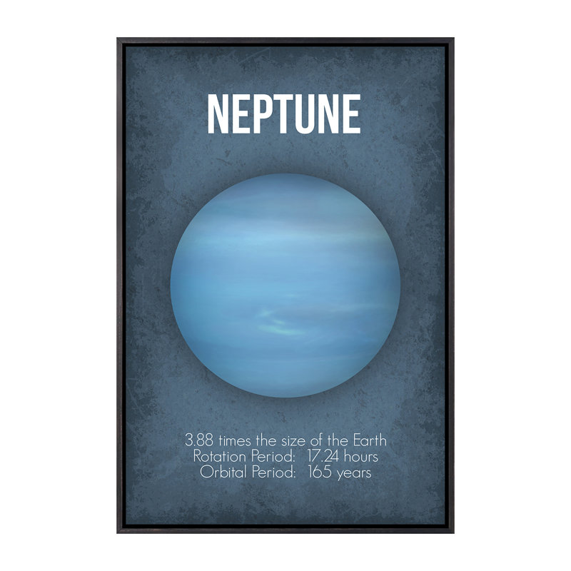Décoration murale Neptune Kids, H 26 po x l 18 po x 1,5 po, Toile encadrée noir délavé