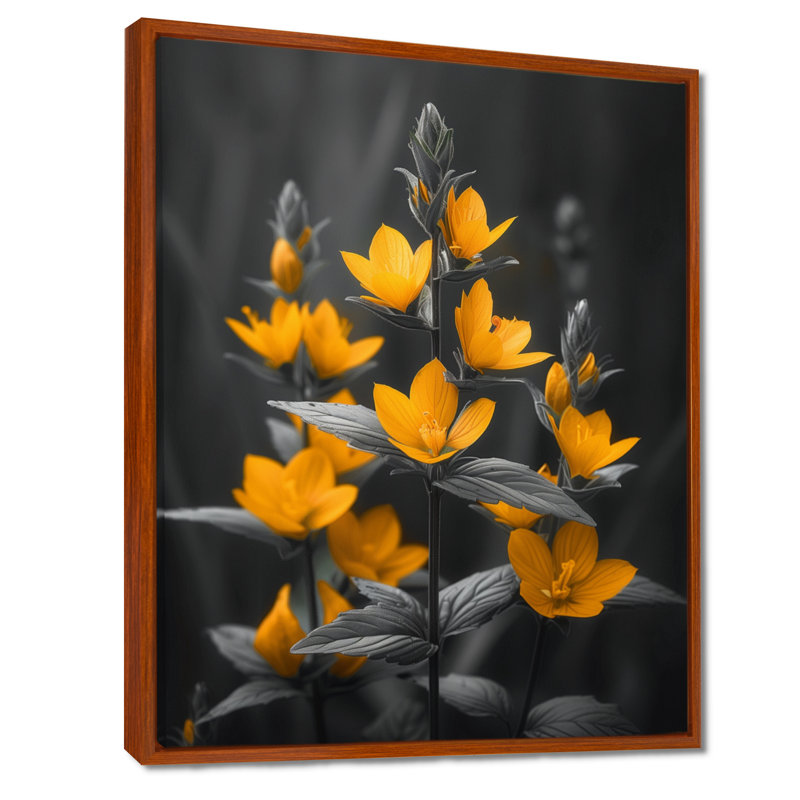 Parfum jaune marguerite noire photo II - marguerite murale art salon, Toile avec cadre flottant brun