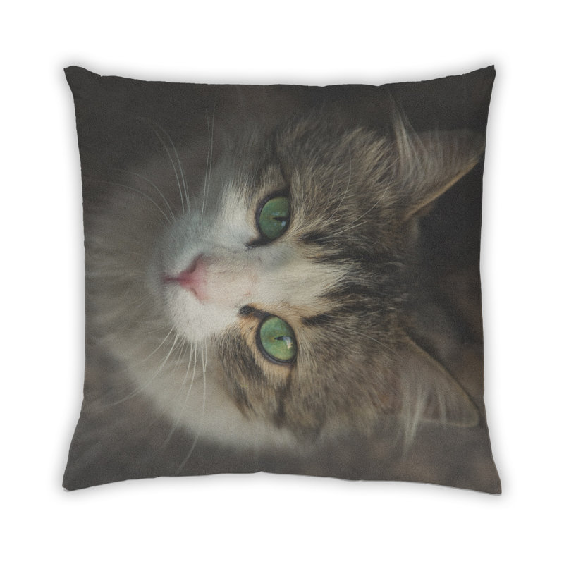 Coussin Cat Cats 57, Synthétique