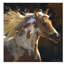 Spirit Horse by Carolyne Hawley - Wrapped Canvas Print-69742017-101336270