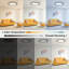 LED Dimmable RGB Flush Mount Ceiling Light with Remote Control
