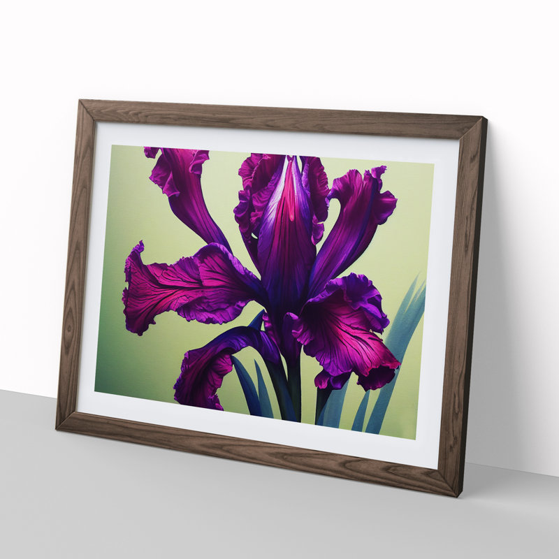 Classic Iris Flowers - Framed Print, 46cm H x 64cm W x 2cm D, Walnut