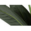 193cm Faux Banana Leaf Plant in Pot