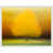 White Framed Paper