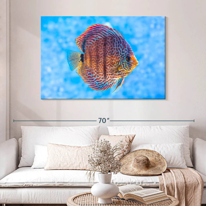 Brampt Freshwater Discus Fish, 32" H x 48" W
