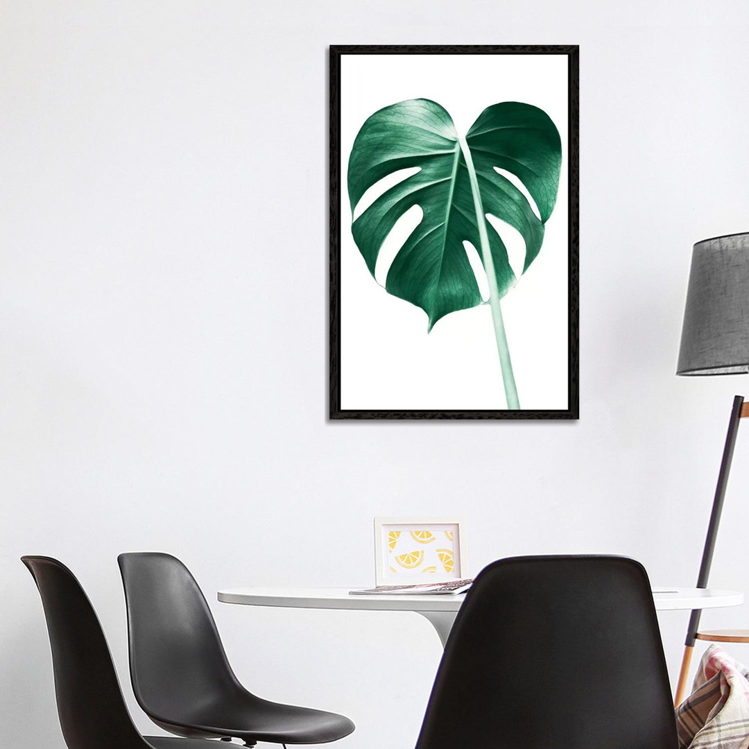 Monstera Leaf