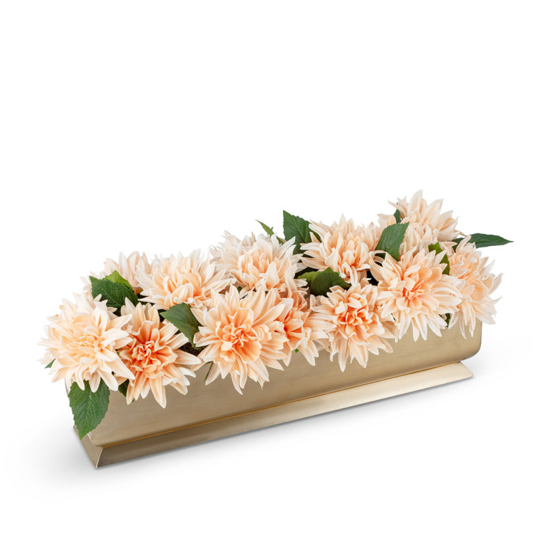 Auge dorée Carlotta RealTouch Dahlia, Peach