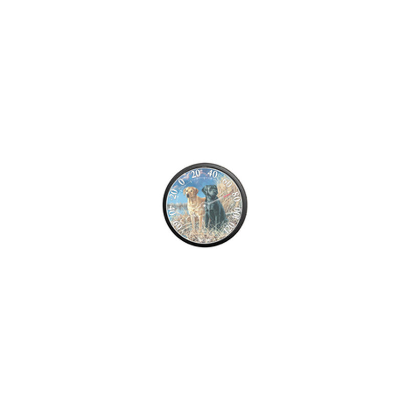 13.5'' Wireless Thermometer