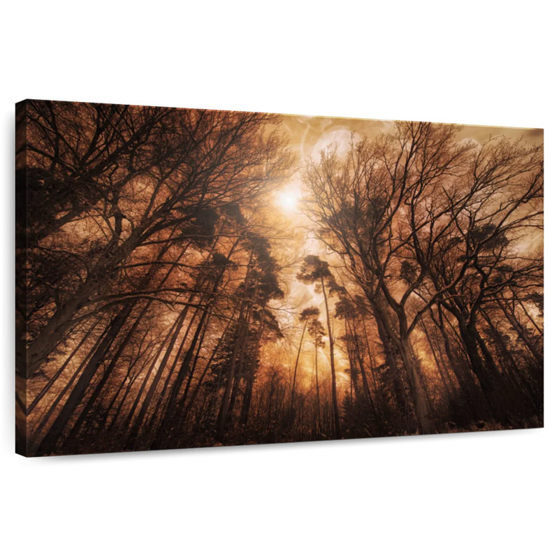 Feu de forêt d'Alvord