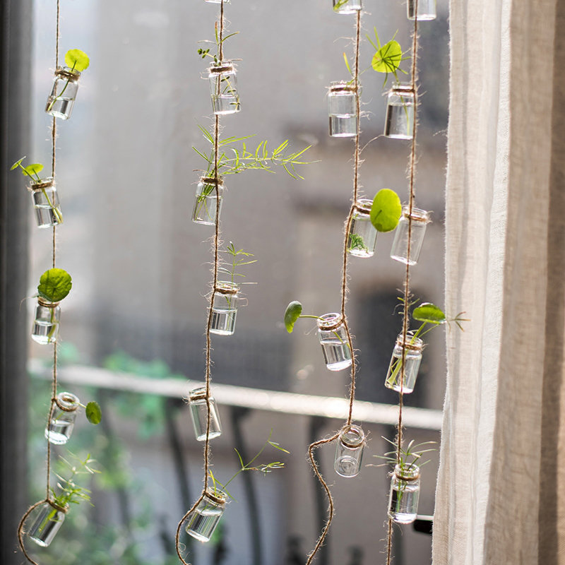 Frazee Glass Hanging Planter