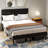 Upholstered Platform Bed Frame-1338376245-1338376241