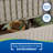 Suncast 50 Gallon Patio Storage Bench - Light Taupe