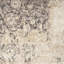Tapis beige / gris à motif floral Ophelia Lux-2093943201