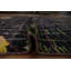 Tapis marocain moderne exquis Intricate