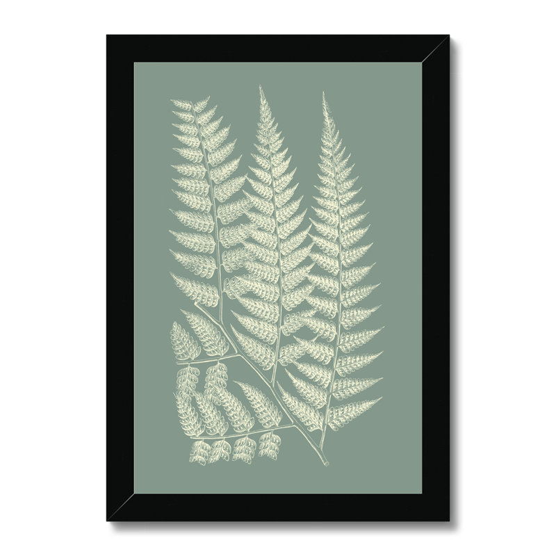 Ferns On Sage III by Vision Studio - Painting on Canvas, 80cm H x 55cm W, Black Framed Paper Print