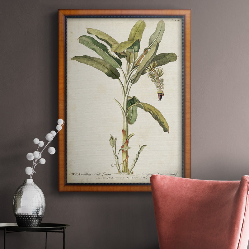 Toile encadrée haut de gamme Banana Palm I - prête à être accrochée, H 20 po x l 16 po x P 2,5 po