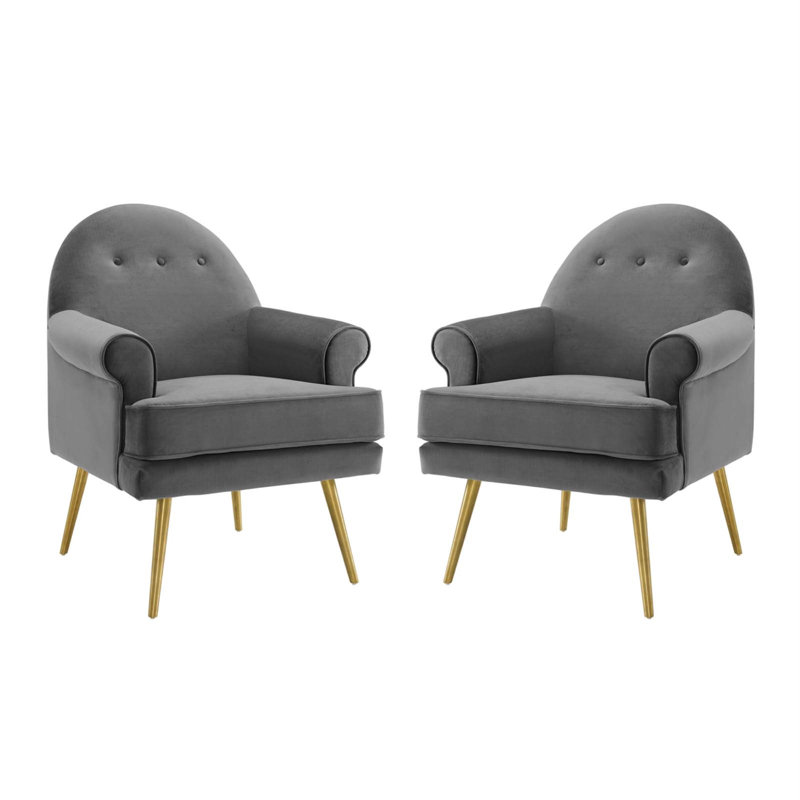 Ensemble de 2 fauteuils en velours Revive Performance, Gris