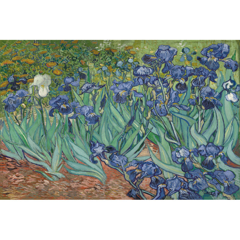 "Irises", reproduction sur toile tendue, H 8 po x l 12 po