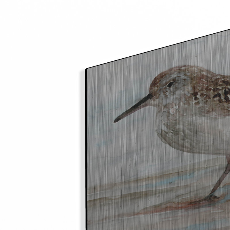  «Sanibel Piper 1» par Stellar Design Studio, art mural en métal, 24 po x 16 po, H 16 po x l 24 po