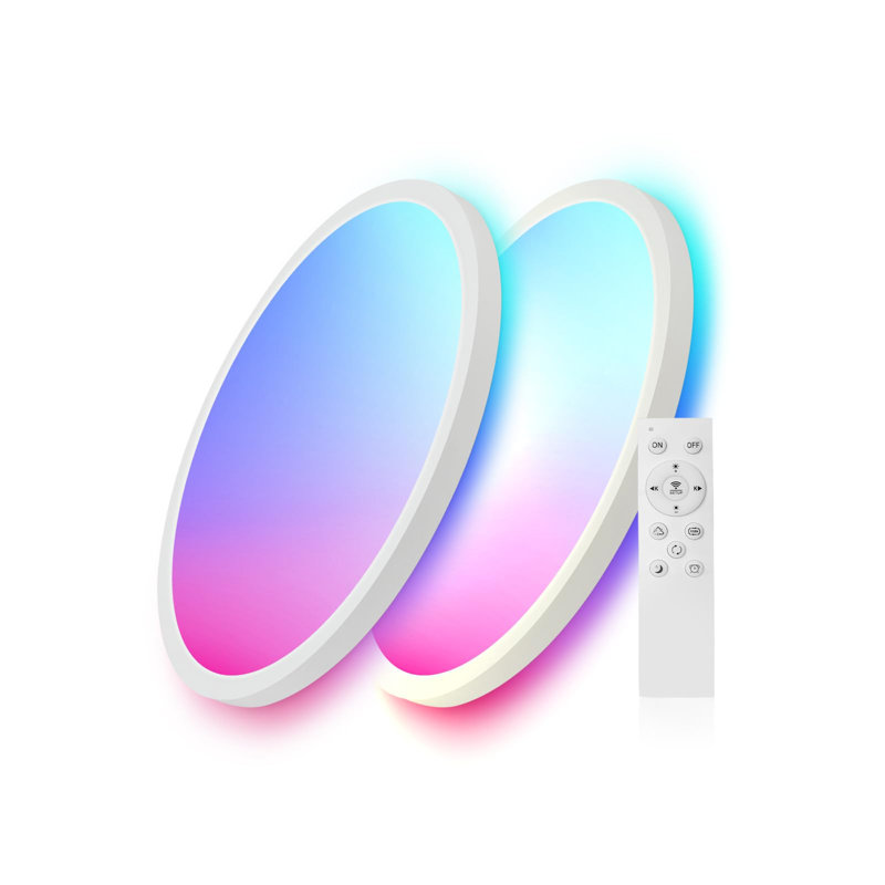 2-Pack 12" Smart RGB LED Ceiling Light, 24W 2400LM