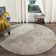 Acropolis Vintage Performance Oriental Rug