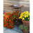 18" Classic Copper Birdbath with Tulip Stand