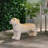 MGO DOG BENCH, Outdoor Bench, Light Brown, No Assembly Required