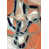 Image Brush Gel selected