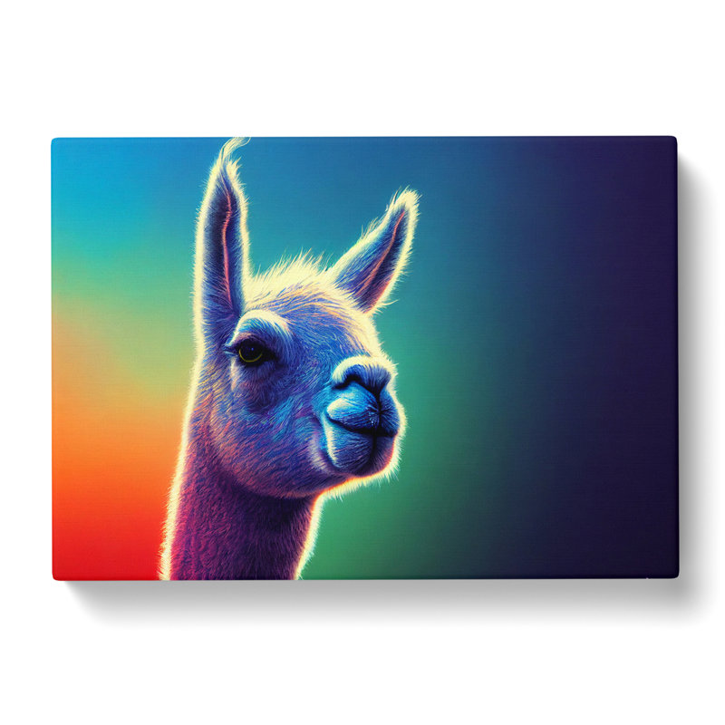 Llama In Colour Vol.1 - Wrapped Canvas, 35cm H x 50cm W x 3cm D