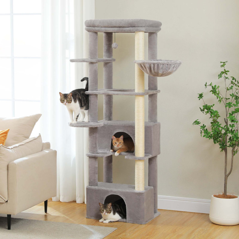 Arbre à chat robuste pour grands chats d'intérieur