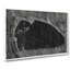 Lying Bison by Samuel De Mesquita - Wrapped Canvas-63999736