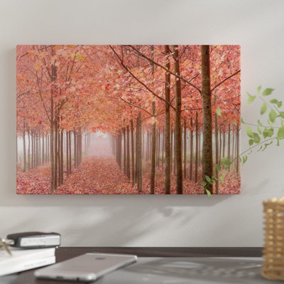 " Misty Autumn Landscape, Willamette Valley, Oregon, USA " by Don Paulson