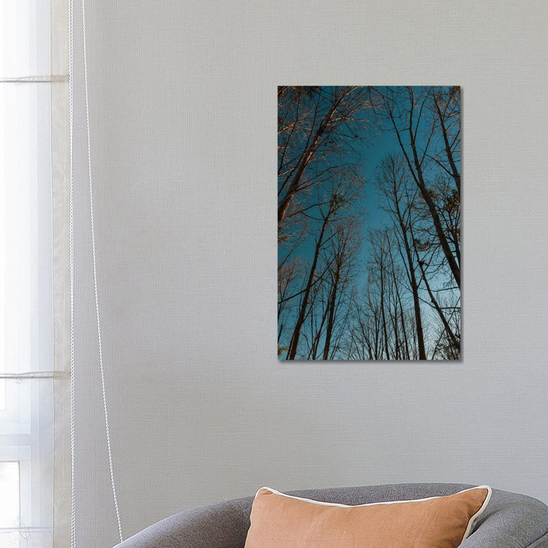 Autumn Path by Alexandre Venancio - Wrapped Canvas Print, 66.04 cm H x 45.72 cm W x 1.91 cm D