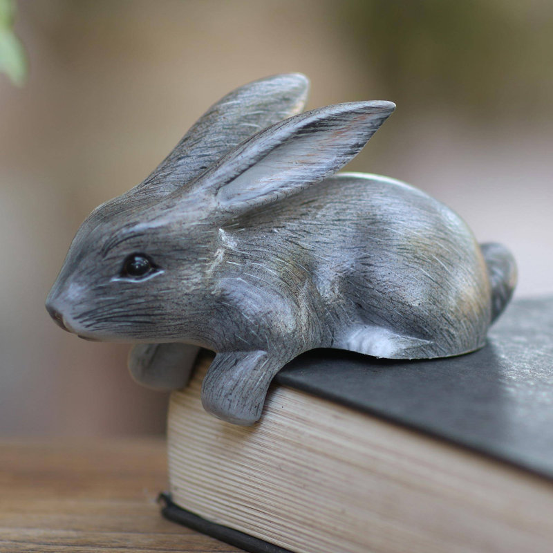 Braud Curious Rabbit, Gris