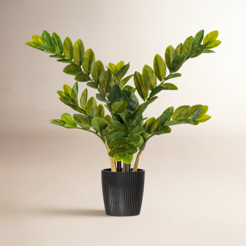 Buisson artificiel zamifolia zen vert en pot, H 28 po x l 16 po x P 16 po