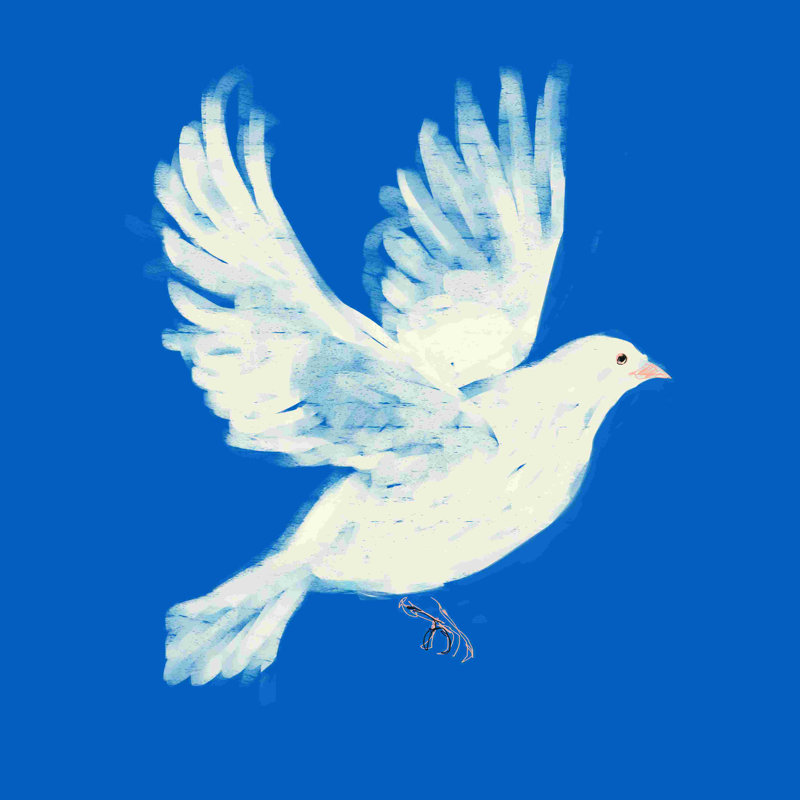 " Doves ", 36" H x 36" W  