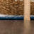 Douglass Oriental Indoor Rug-742439482