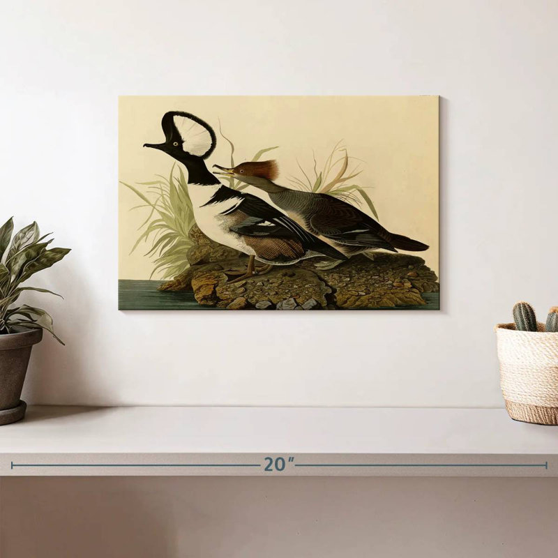 Hooded Merganser, 8" H x 12" W