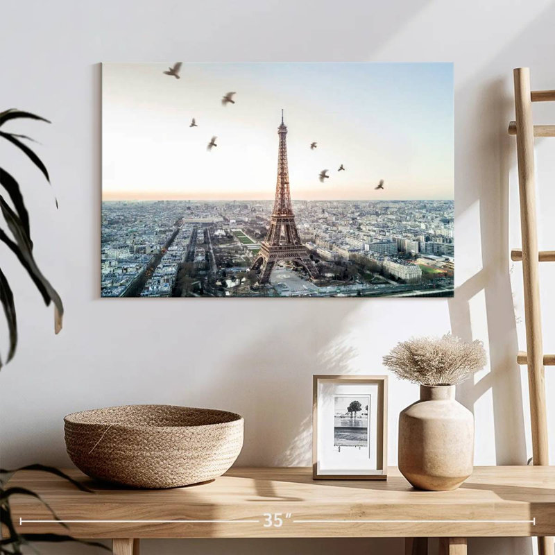 Oiseaux Kavia survolant Paris, H 16 po x l 24 po