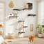 44 cm H Cat Tree / Condo