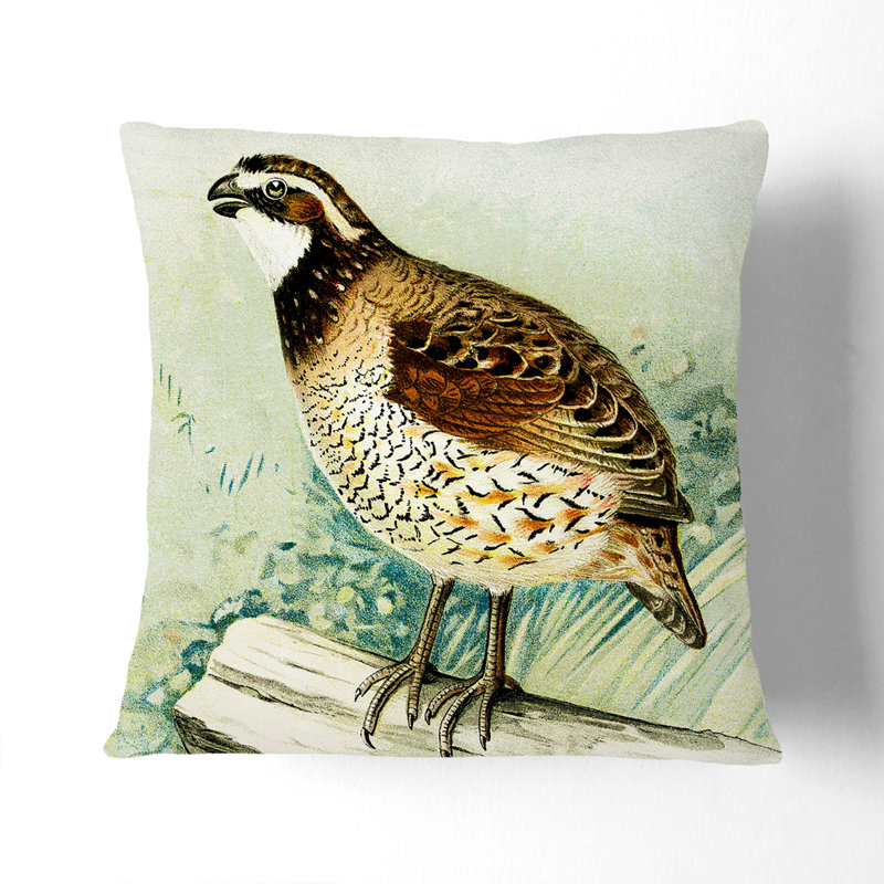 Square Throw Cushion, 40cm H x 40cm W x 15cm D