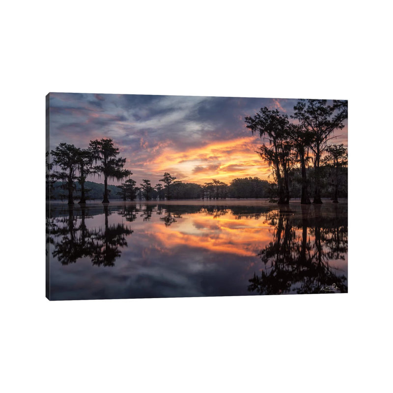 Sunrise In The Swamps by Martin Podt - Wrapped Canvas Print, 20.32 cm H x 30.48 cm W