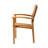 Ellie-Maye Teak Solid Wood Outdoor Lounge Chair