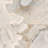 Virtue 24X48 Polished Noisette-117177873