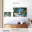 Under Miami Palms-1592841682