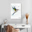 Colibri heureux Brampt-106961883
