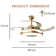 Reinu 38'' Ceiling Fan with LED Lights