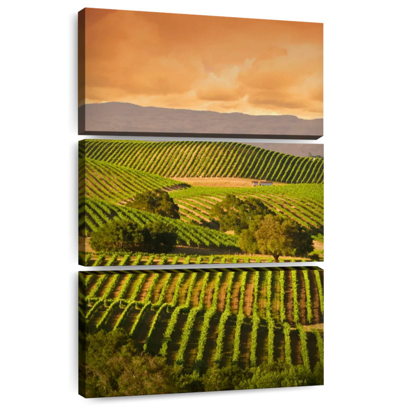 Alvord Carneros Vineyard, H 74 po x l 48 po
