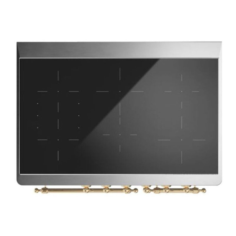 Majestic II 40" Freestanding Induction Range, Matte Graphite/Brass