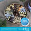 Plateau de service BirdRock Home